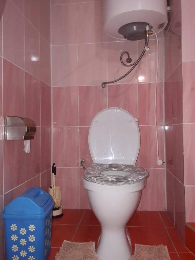 Kyzart Guesthouse Bagysh Luaran gambar
